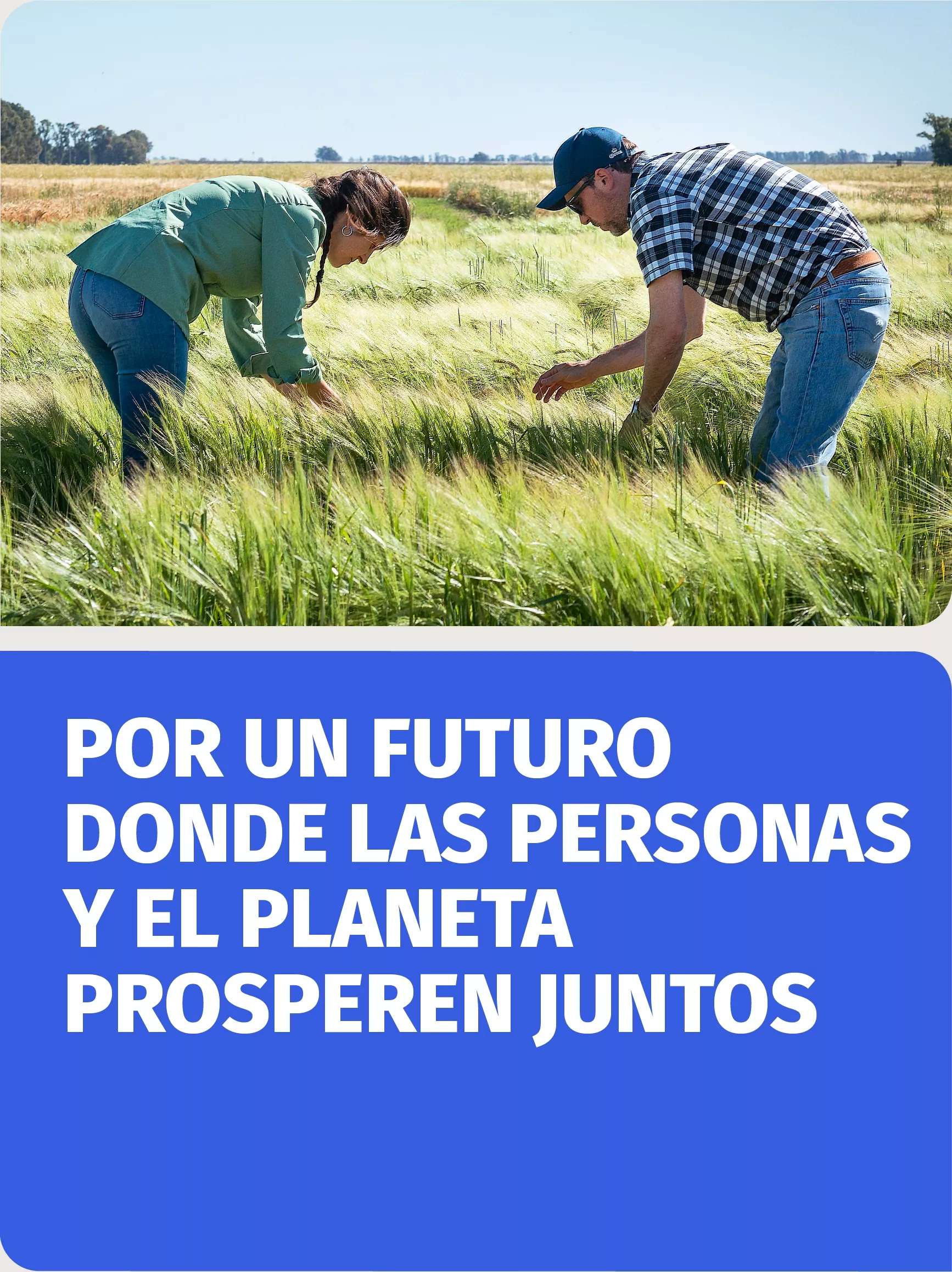 Sustentabilidad Sustentabilidad